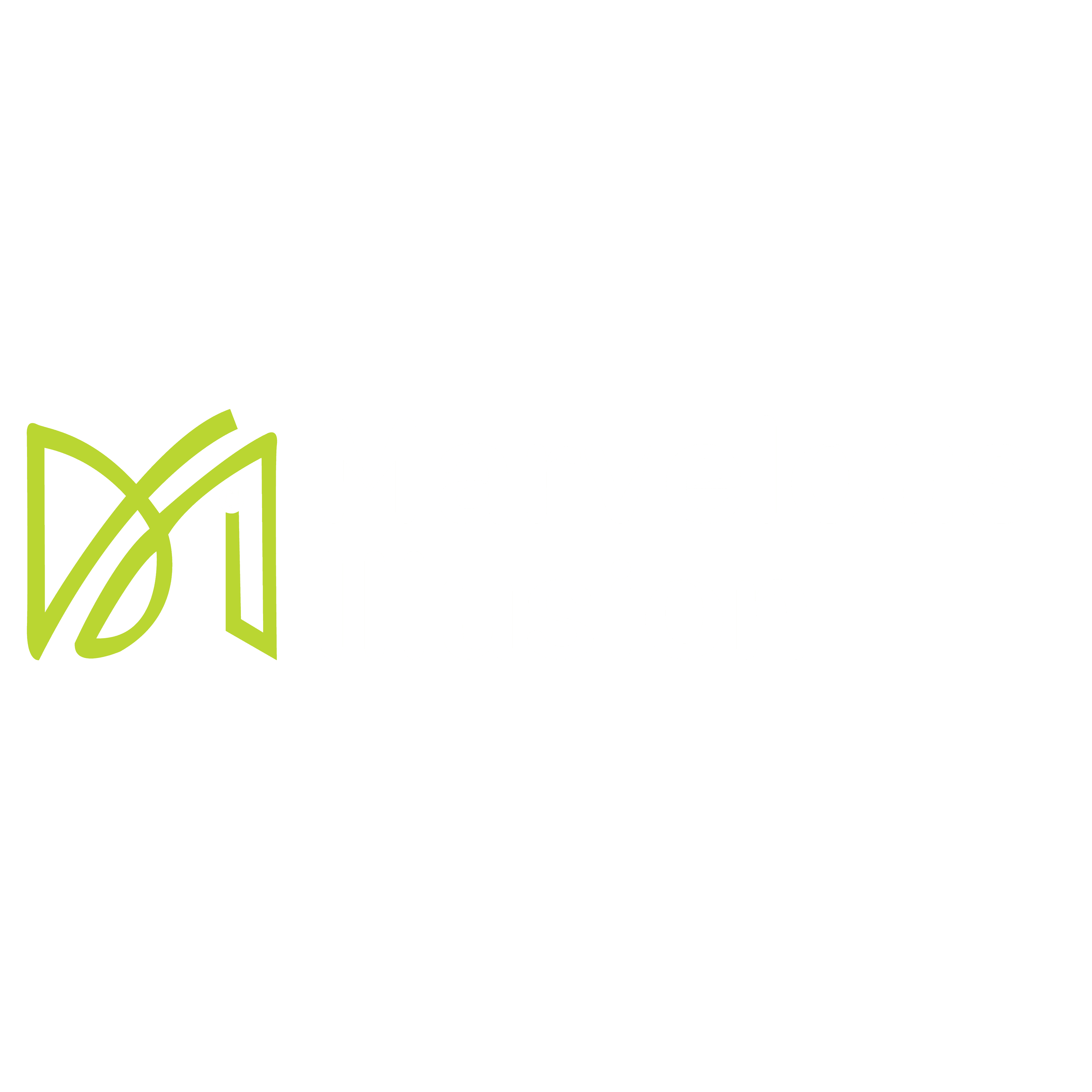 Marvelous Illusion Logo